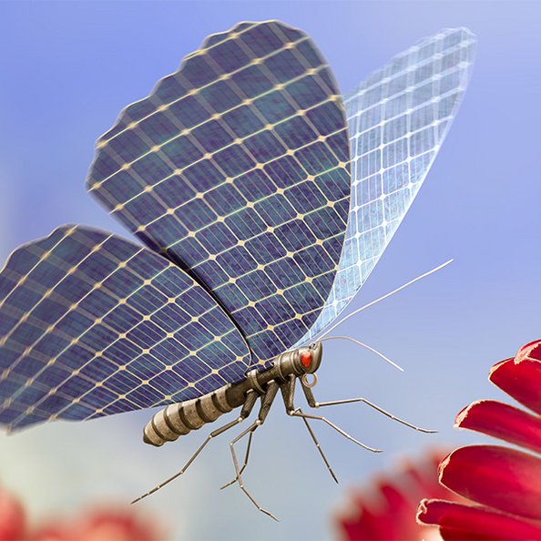 Innovation - Schmetterling mit Flügeln aus Solarpaneelen